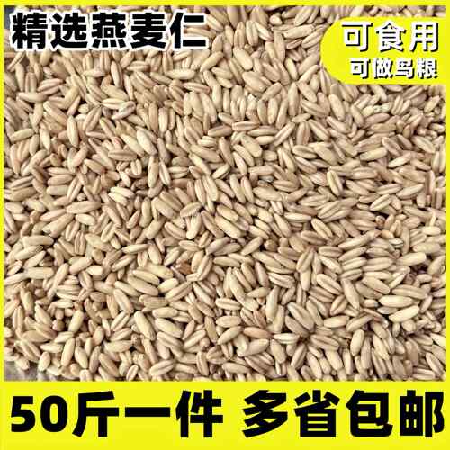 当季新燕麦仁燕麦米25kg/50斤 餐饮食用煮粥煲汤鸟用鸟粮鸟食鹦鹉