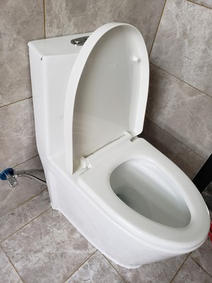 浪鲸坐便器好不好用，最新评测及价格参考