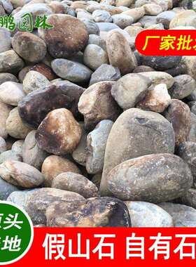 长沙桐庐石日式庭院造景大青麻卵石驳岸水系置石厂家天然景观石