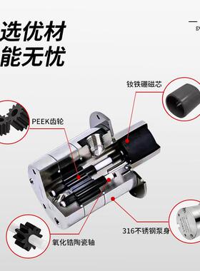 CS039微型水油泵交流电机自吸粘度液体灌装计量泵磁力驱动齿轮泵
