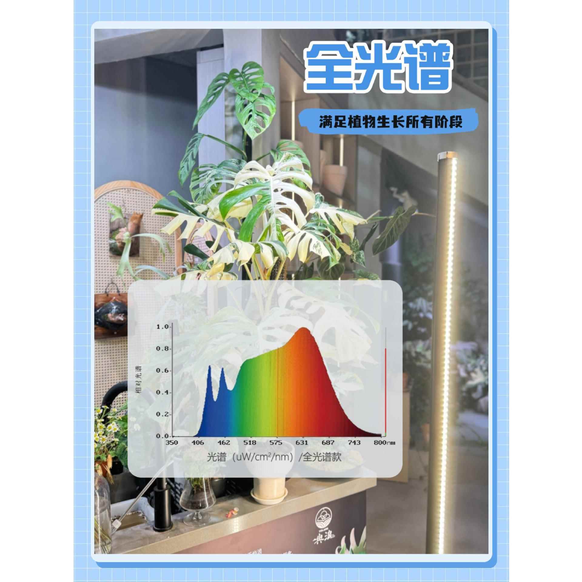 全谱室内植仿物补光灯多肉太阳光落侧地式双面发光光植物生见详情
