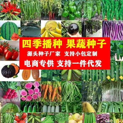 Complete list of vegetable seeds for indoor and outdoor bal