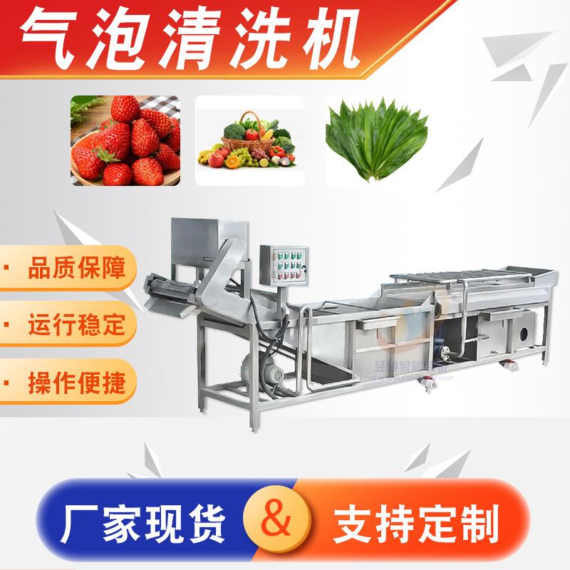气泡清洗机洗菜机果蔬清洗设备不锈钢商用果蔬翻浪鼓泡清洗机