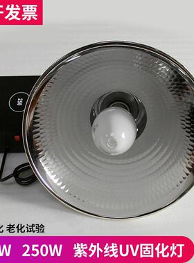 UV固化灯玻璃无影胶水紫外线 线灯泡125W250瓦大功率365nm高压汞