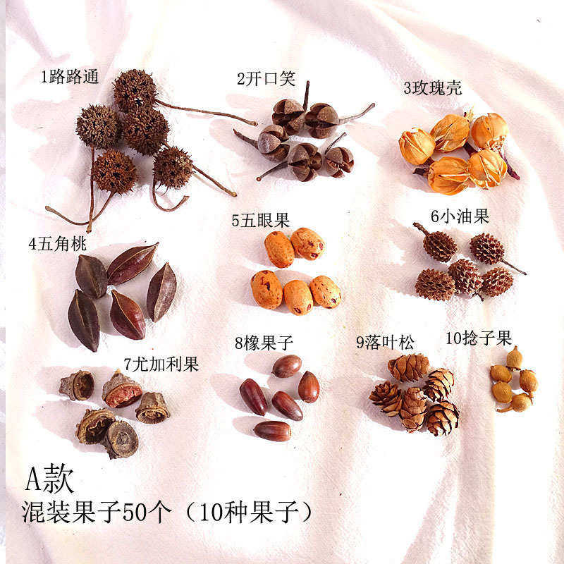 装饰干千纹果松果果子幼儿园橡果天然手工制作材料