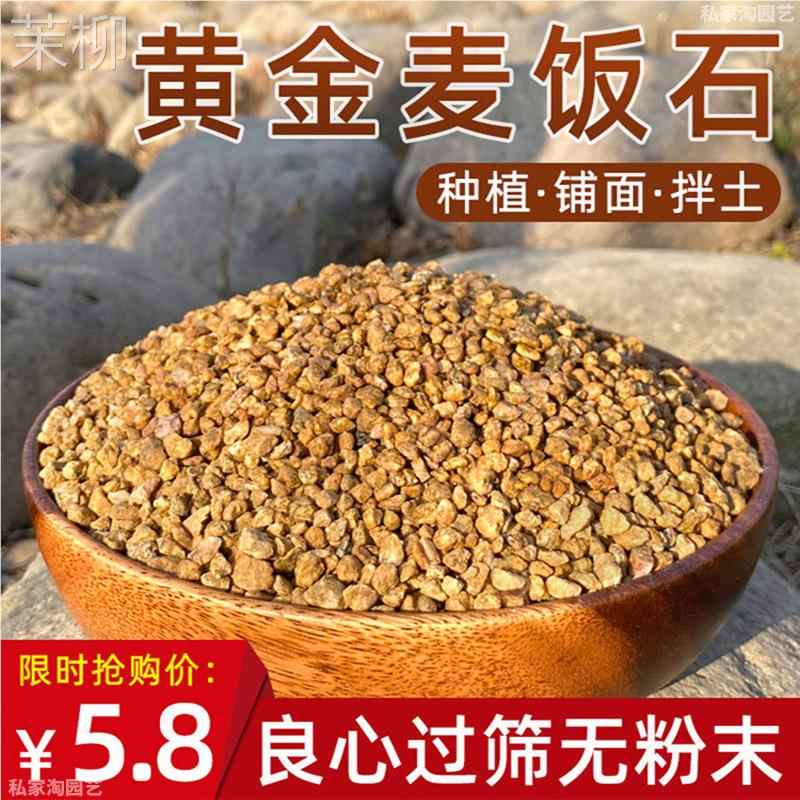 黄金软麦饭石颗粒大包多肉铺面石种植拌土装饰营养土韩国同款