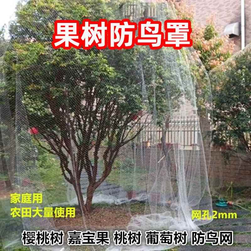 果树防鸟罩专网农用防鸟丝网果园天网嘉宝果树防鸟罩子阳台防鸟网