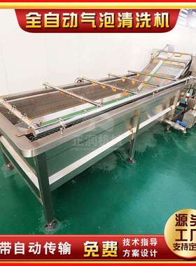 产地货源青菜泡泡清洗机 新款臭氧鼓泡清洗机 商用净菜加工清洗机