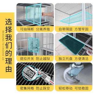 繁殖貓籠家用狗籠室內帶隔斷貓籠貓舍繁育籠貓咪繁殖籠鴿子配對籠