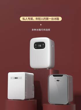 小型迷你学生冷冻车载冰箱迷你华柯尼冷藏宿舍小冰箱家用小冰柜