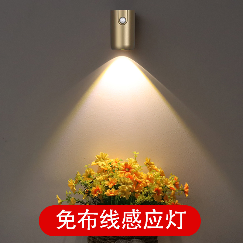 门牌感应灯人体led人来即亮免布线免打孔入户灯无线磁吸充电壁灯