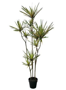 欧式风仿真_仿真绿植沙漠小叶植物千年木细针状叶子手感七彩铁树