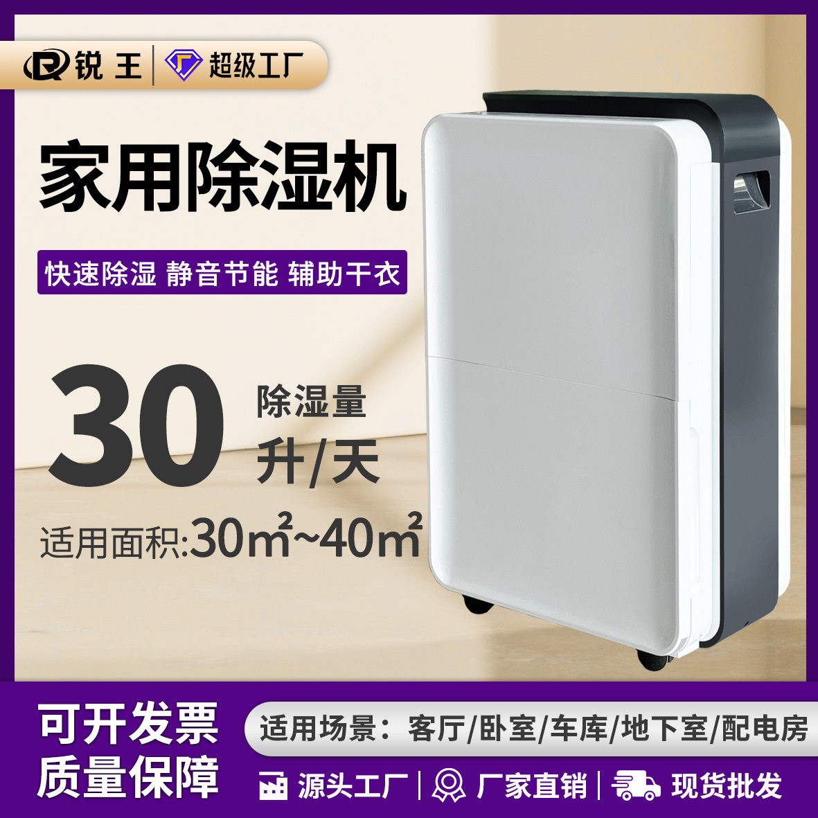 锐王家用除湿机30L室内去湿机干衣别墅抽湿机吸湿除湿器静音2024