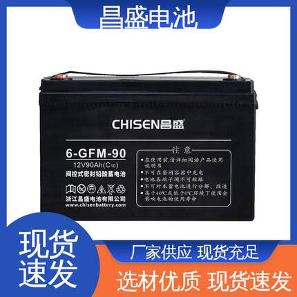 昌盛6-GFMJ-90eps应急电源铅蓄电池玩具电源质量放心