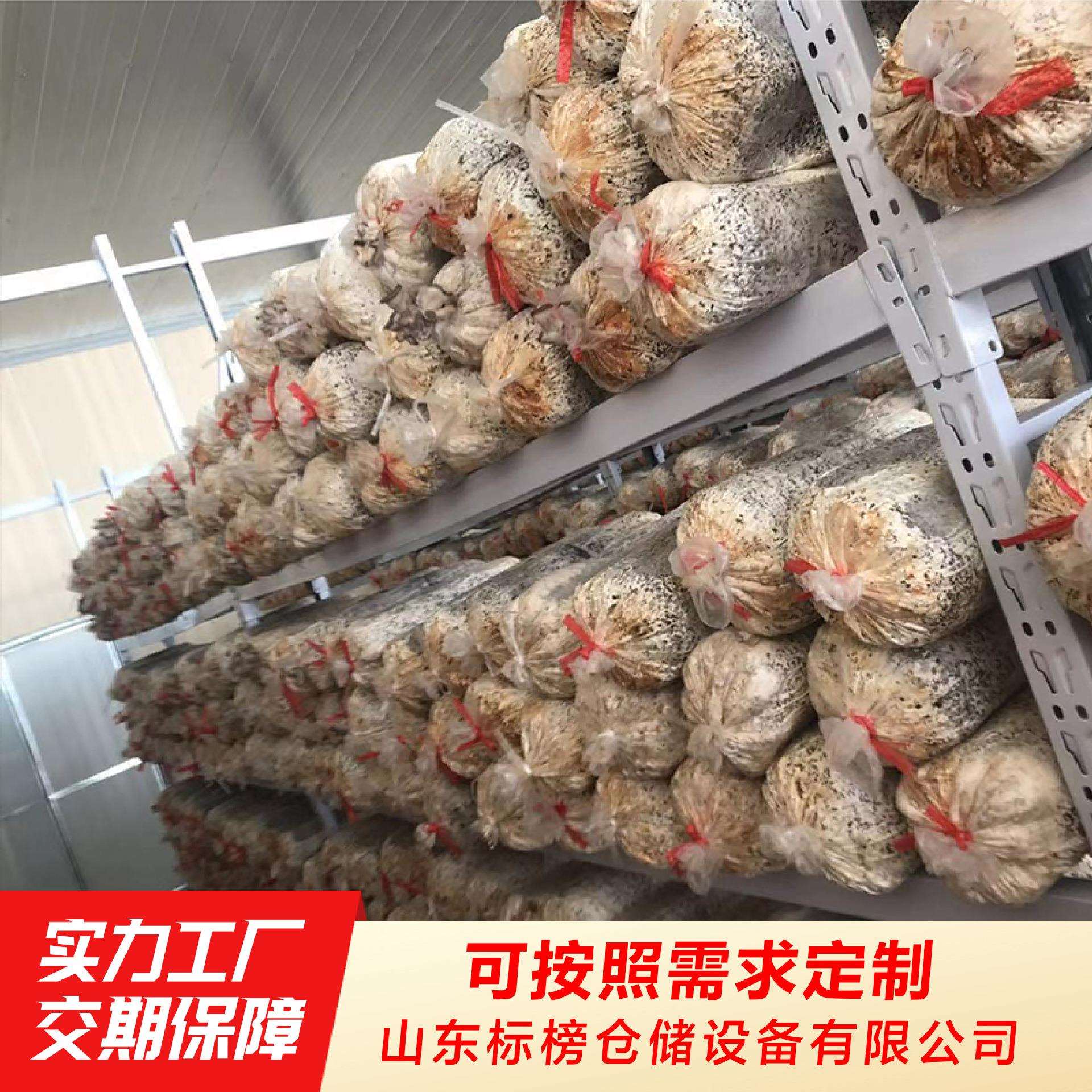 出梁菇架角钢横式济标出菇南金属网片63出菇榜架蘑菇出菇房出菇架