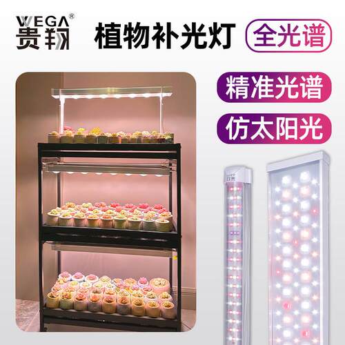 贵翔 多肉植物补光灯彷太阳全光谱家用上色LED植物生长灯室内热植