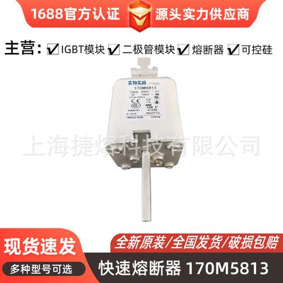 170M5813 170M5959 快速熔断器 保险丝 电子元器件 量大价优