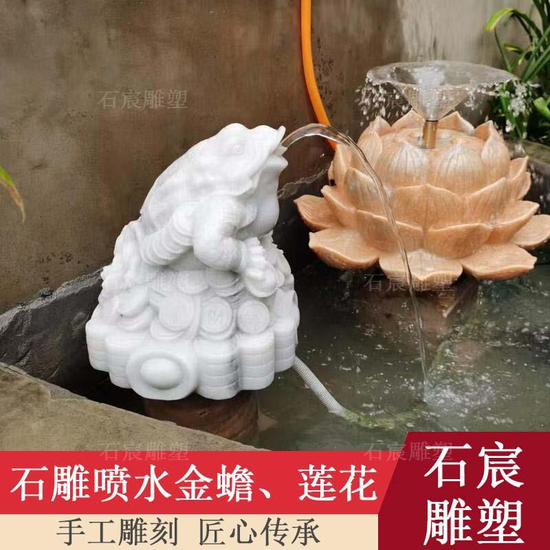 石雕汉白玉金蟾喷水荷花吐水庭院鱼池晚霞红青石青蛙石槽流水摆件