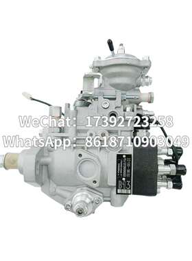 高品质油泵总成 22100-1B130 VE6/12F2000RND030 196000-0300