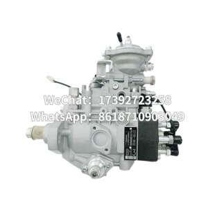 22100 196000 1B130 12F2000RND030 0300 VE6 高品质油泵总成