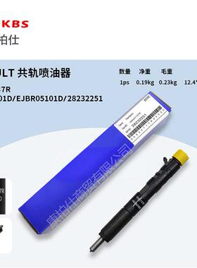 德尔福共轨喷油器28232251 166001137R EJBR03101D EJBR05101D