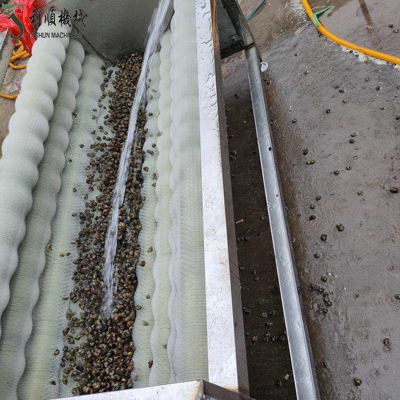 鲤鱼去鳞清洗机 滚动式毛辊清洗机 花蛤毛蟹清洗机质保一年