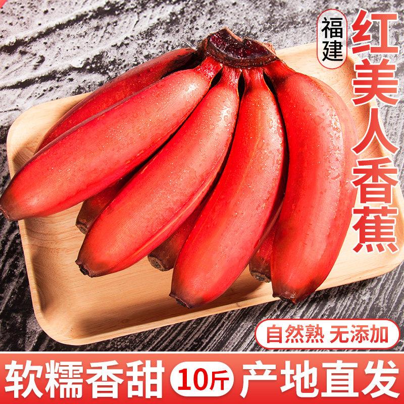 红美人香蕉整箱10斤 新鲜红皮芭蕉米蕉探味君品牌现摘直送