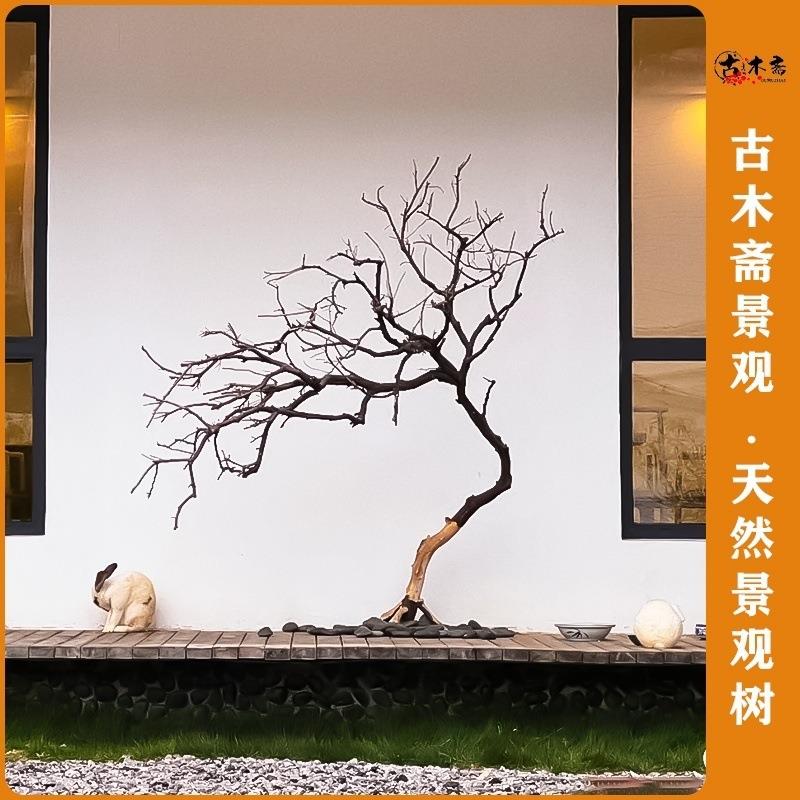 天然干树枝室内术in风装饰造景婚庆软装材料树枝条未染色