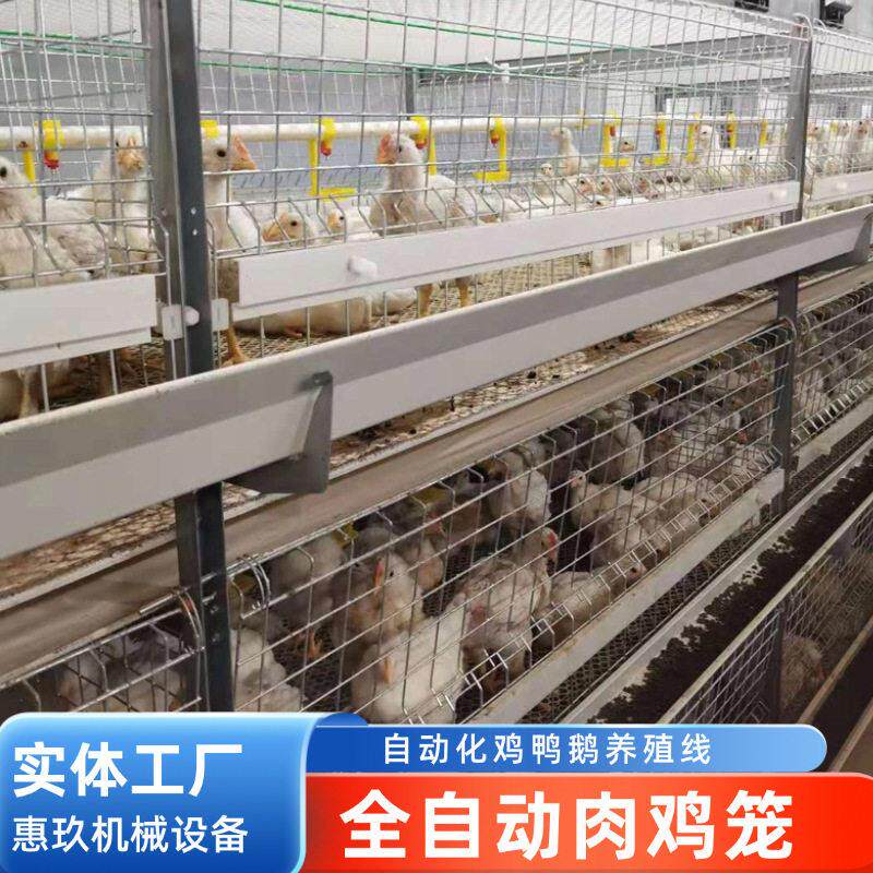 多层叠式肉鸡笼子自动上饲料清粪农场养殖厂养鸡肉鸡笼机械设备