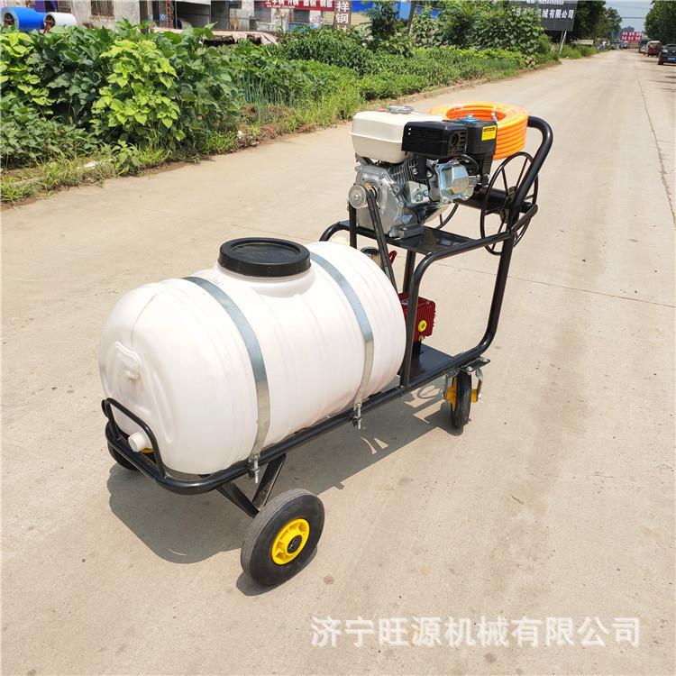农用自走式手推打药机养殖场消毒防疫喷雾器汽油高压拉管打药机