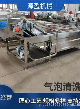 连续式泡菜清洗脱盐设备绿叶菜去农残气泡清洗机高压喷淋洗菜机
