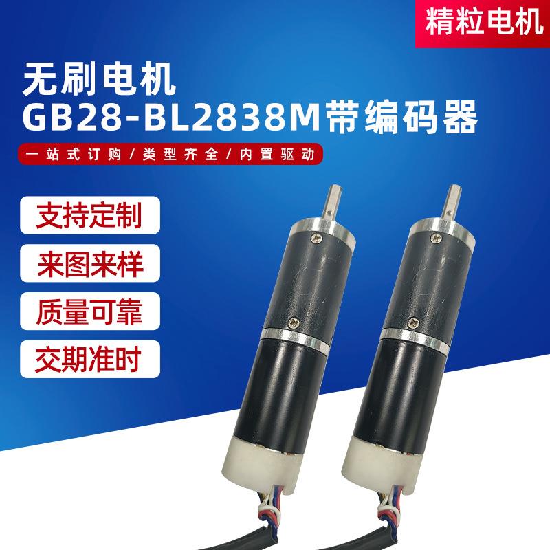 无刷电机GB28-BL2838M带编码器慢煮机电推剪智能机器人减速马达