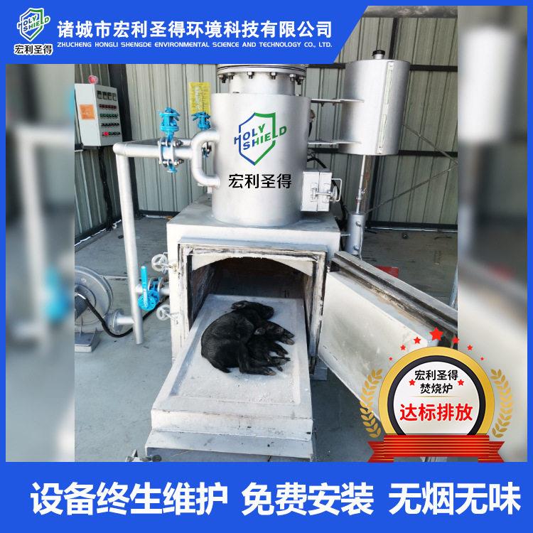 动物焚烧炉无烟无味宠物火化炉耗能低安全环保宠物火化机