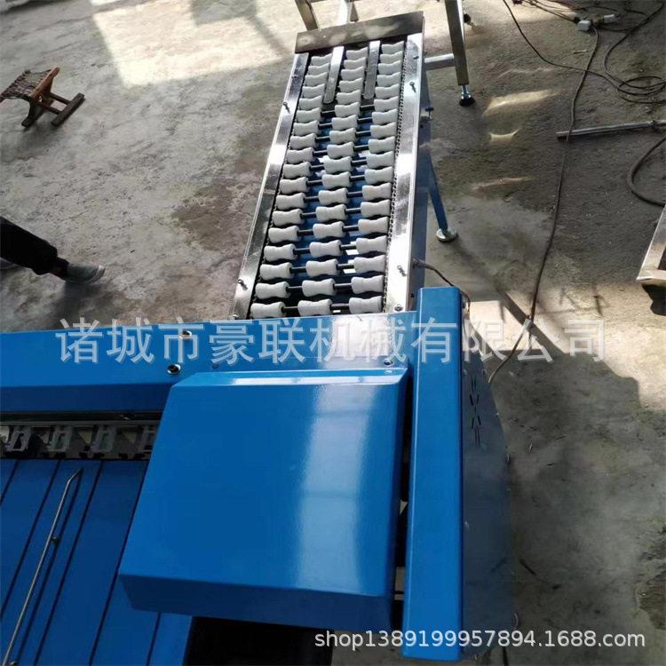 鸡SQB蛋分级机 每小时400枚 效精分选可鸡蛋大准小 配套光检 5输