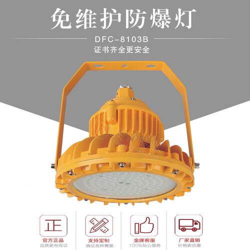 厂家供应防爆平台灯60W70W80W100W防腐护栏隔爆型防爆灯高效节能
