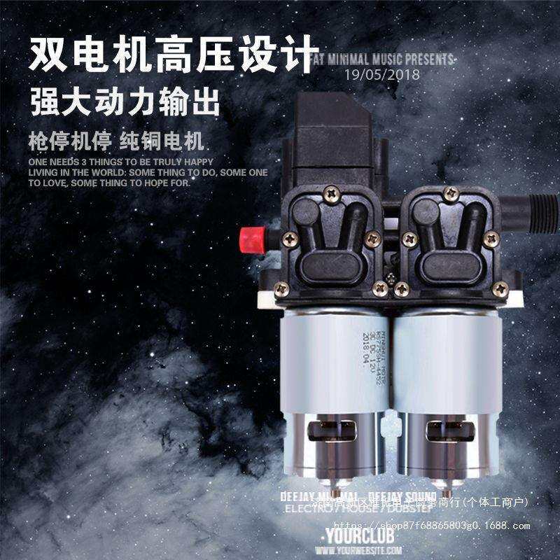 【双铜电机】12V洗车水泵车载洗车机220V家用便携洗车器刷车直销