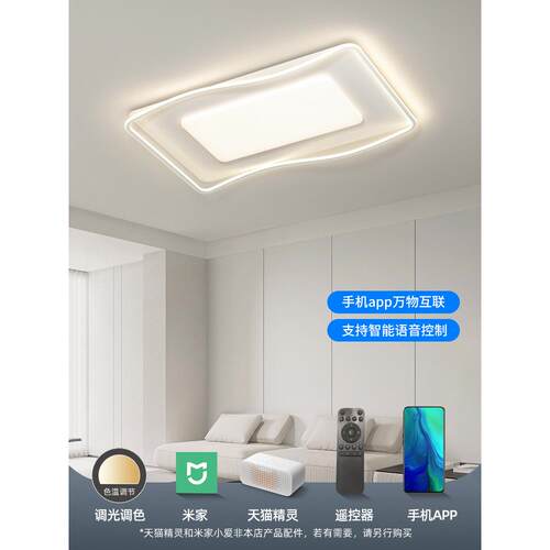 约2谱025年餐新款全光客厅主灯现代简护眼灯具全518屋套智能吸顶