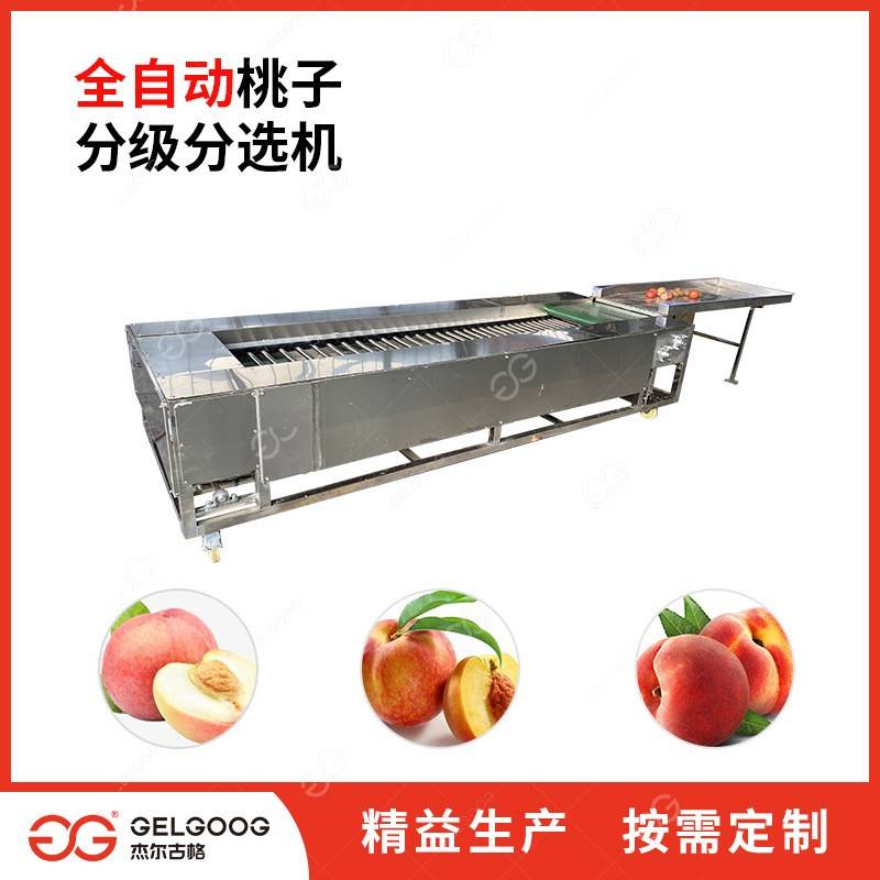 滚杠分级机水蜜桃自动分选分拣机大小黄桃选果机器桃子分级机