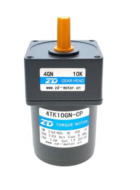4TK10GN-CP-4GN18K 10W堵转马达力矩减速中空交流齿轮调速电机