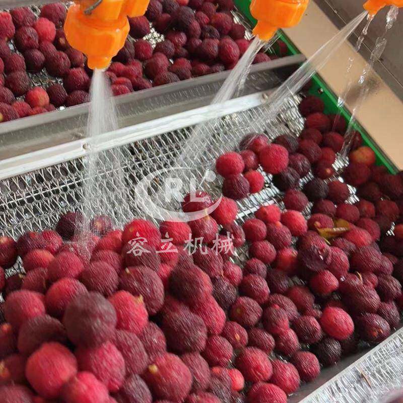 商用果蔬清洗机气泡式蓝莓树莓清洗去杂机全自动杨梅清洗机