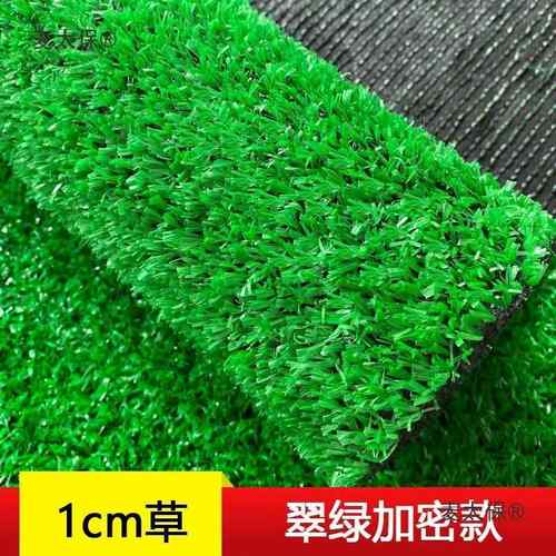 仿真坪人造地毯麦太保假草皮垫屋楼草装顶户外人工绿色饰幼儿工园