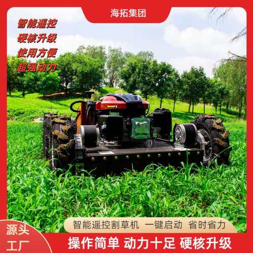 出口澳大利亚新款遥控农场草场割草机 开荒全地形除草小型碎草机