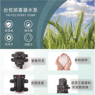 农用电动喷雾器水泵 高压大功率隔膜泵 电动喷雾器配件 12V智能款