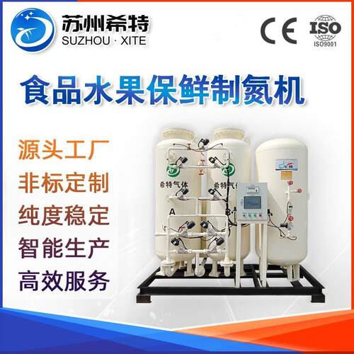 大型食品保鲜制氮机水彩水果氮气包装现场氮气设备变压吸附制氮机
