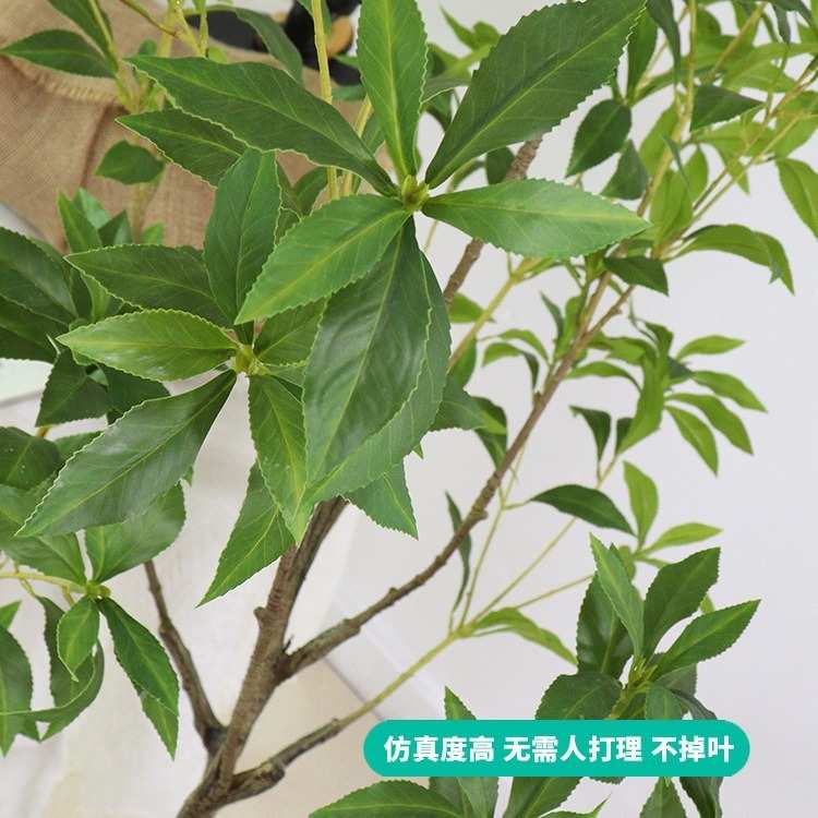 仿真绿植室内盆栽仿生假绿植客厅落地摆件仿真马醉木景观