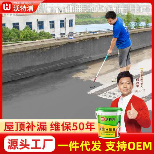沃特浦外墙水泥基防水涂料屋顶补漏胶房屋漏水材料