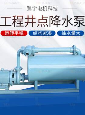 真空降水泵水环式强力真空井点降水泵降水抽水工程建筑真空泵