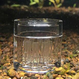 Box Leeches Catcher Acrylic Holes Trap Aquatic Planaria