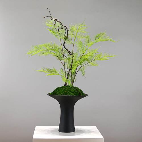 新中式仿真文竹植物盆景酒店玄关柜样板房售楼处软装搭配茶室摆件