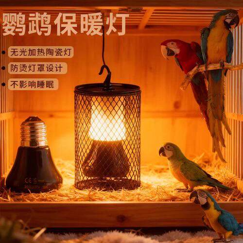 鹦鹉保温灯加热取暖灯鸟笼保温灯仓鼠芦丁鸡玄凤防咬发热陶瓷灯